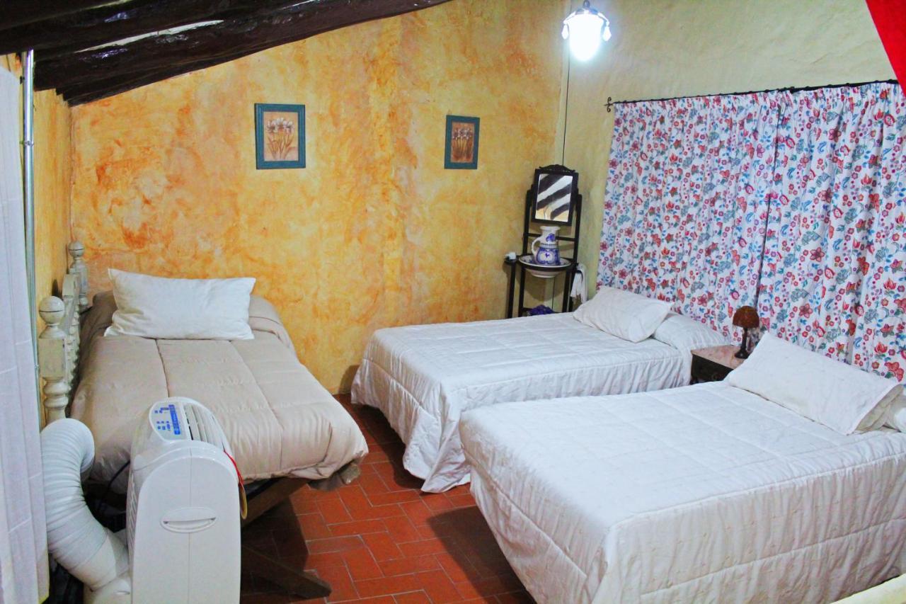 布利亚斯Vivienda De Estilo Rustico Con Piscina La Grana别墅 外观 照片